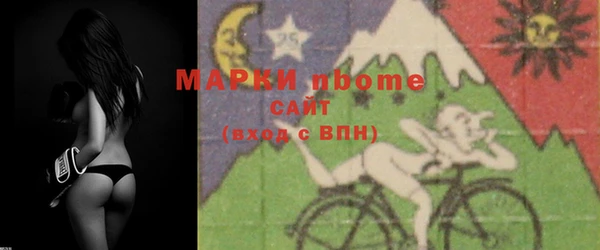 индика Мурманск