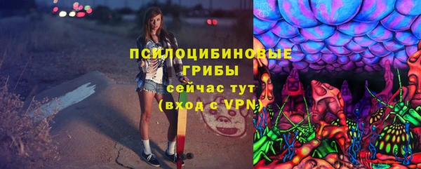 2c-b Кулебаки