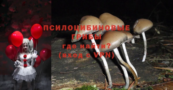 спиды Ладушкин