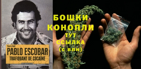героин Лагань
