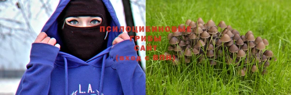 спиды Ладушкин