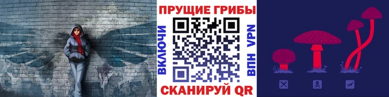 Галлюциногенные грибы MAGIC MUSHROOMS  купить наркотики цена  Щигры 